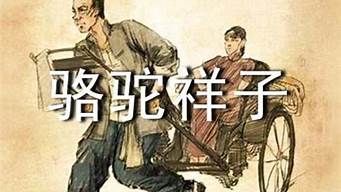 骆驼祥子读书心得600字_骆驼祥子读书心