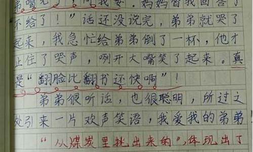 日记200字清明节_日记200字清明节怎