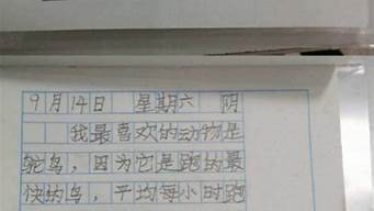 观察动物日记100字_观察动物日记100字左右