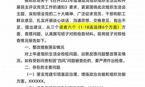 班子对照检查材料范文_主题教育班子对照检查材料范文