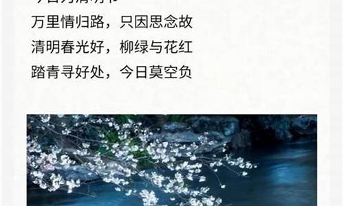 清明节日记300字范文_清明节日记300字范文怎么写