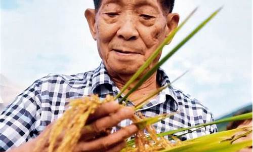 袁隆平的光荣事迹简写_袁隆平的光荣事迹简写200字