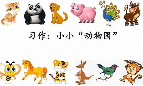 小小动物园350字_小小动物园350字作文